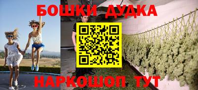 мдпв Будённовск